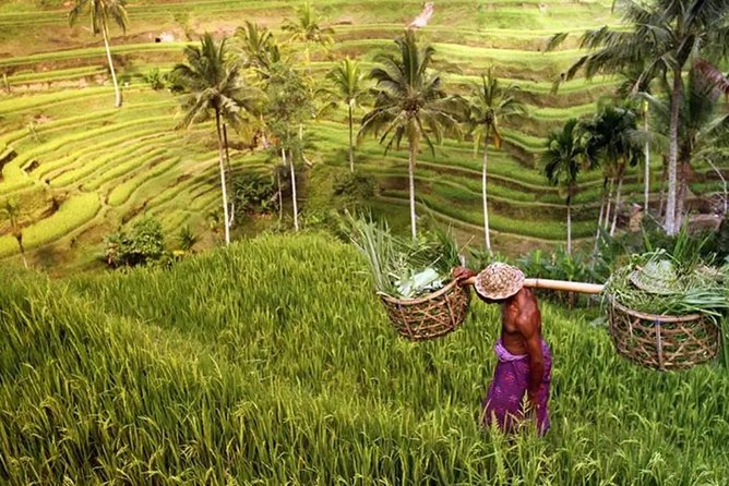 Gate of Heaven Bali - Review Summary