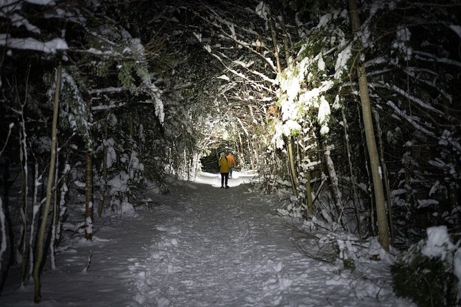 Gatineau Park Nocturnal Snowshoeing Adventure & Dinner - From Ottawa & Gatineau - Cancellation Policy