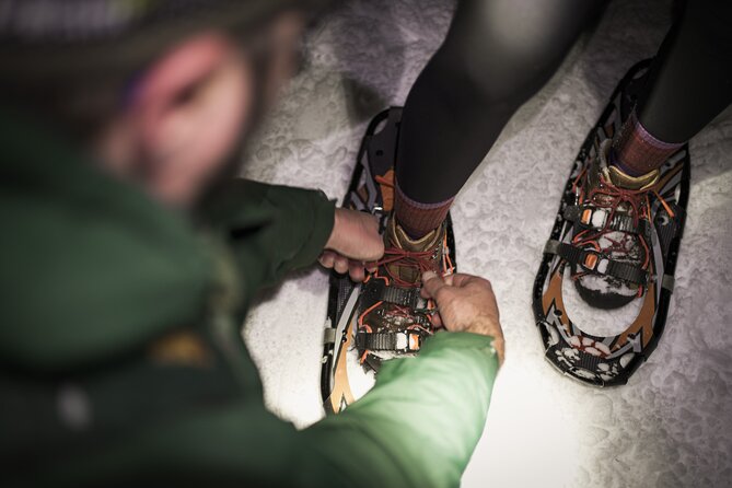 Gatineau Park Nocturnal Snowshoeing Adventure & Dinner - From Ottawa & Gatineau - Common Questions