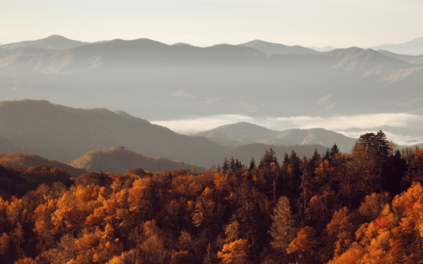 Gatlinburg: App-Based Great Smoky Mountains Park Audio Guide - Customer Feedback and Ratings