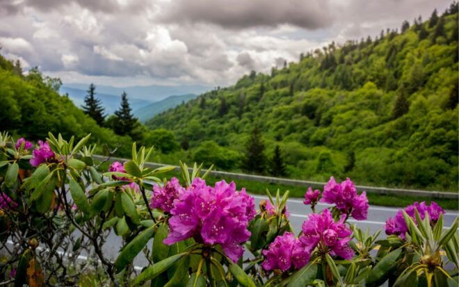 Gatlinburg: App-Based Great Smoky Mountains Park Audio Guide - App Features and Experience