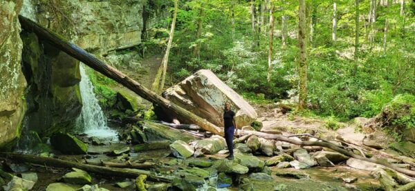 Gatlinburg: Great Smoky Mts National Park Waterfall Tour - Meeting Point and Logistics