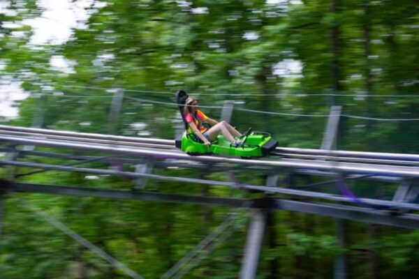 Gatlinburg: Moonshine Mountain Coaster Ride - Nighttime Light Show Experience