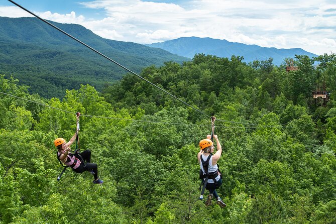 Gatlinburg Mountaintop Zipline and Sky Bridge Experience - Thrilling Zipline Runs and Sky Bridges