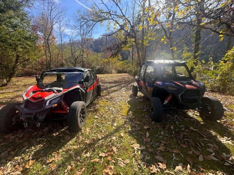 Gatlinburg: Self-Guided Street Legal UTV Rentals - Pricing and Value