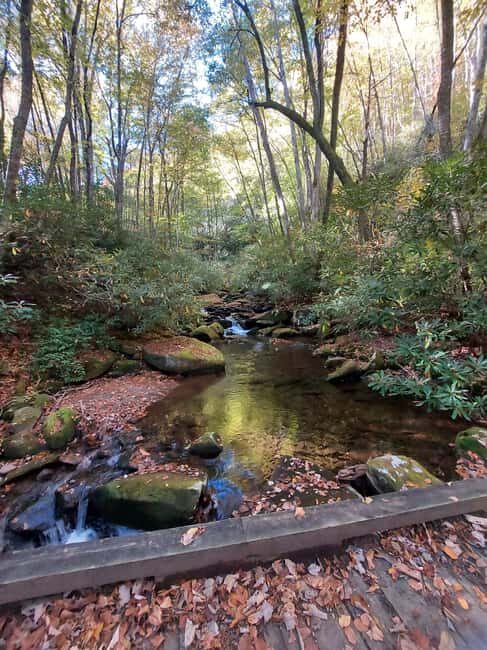 Gatlinburg: Smoky Mountains Fall Foliage Guided Tour - Pricing and Value