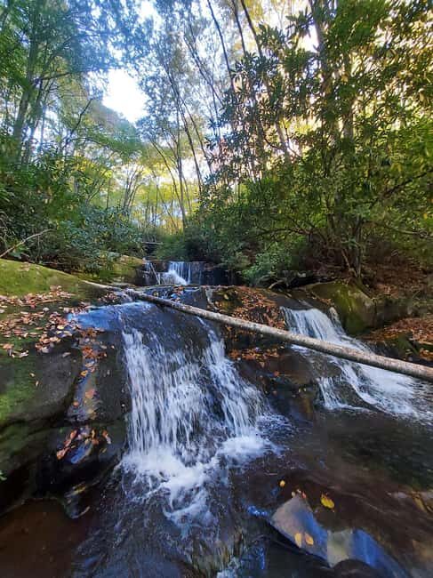 Gatlinburg: Smoky Mountains Fall Foliage Guided Tour - Who Will Love This Tour?