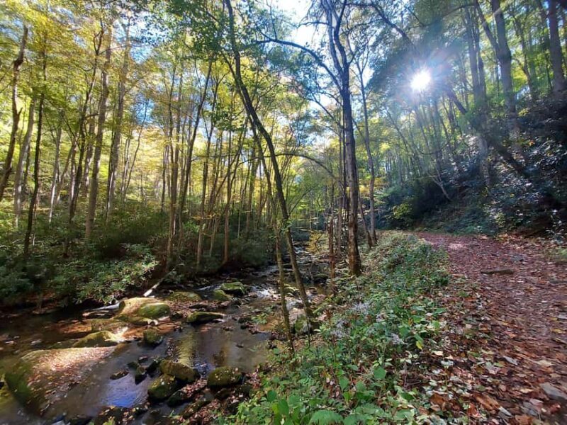Gatlinburg: Smoky Mountains Fall Foliage Guided Tour - Final Thoughts