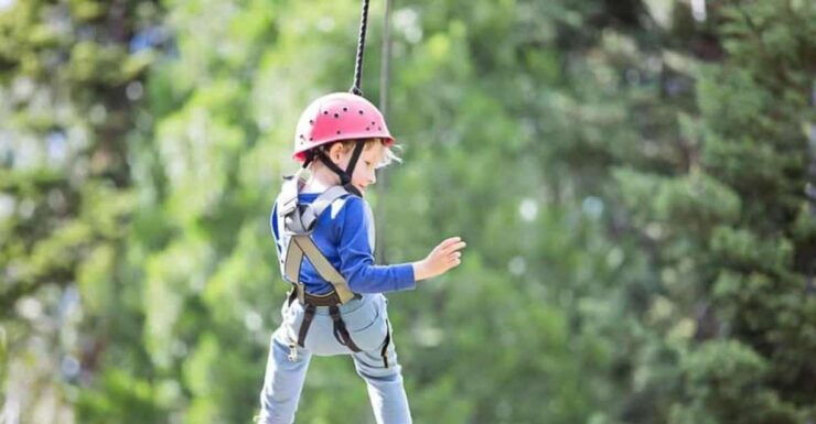 Gatlinburg: Zipline Canopy Tour - Tour Duration and Group Size