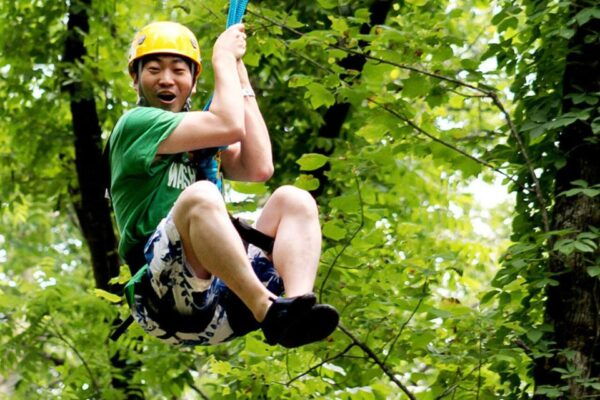 Gatlinburg: Zipline Canopy Tour - The Sum Up