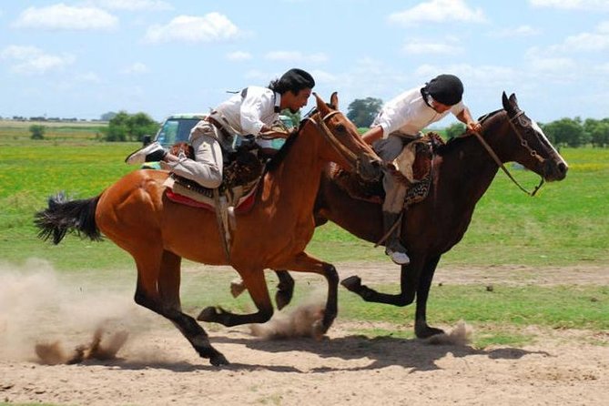 Gaucho Day Tour Don Silvano Estancia From Buenos Aires - Tour Details