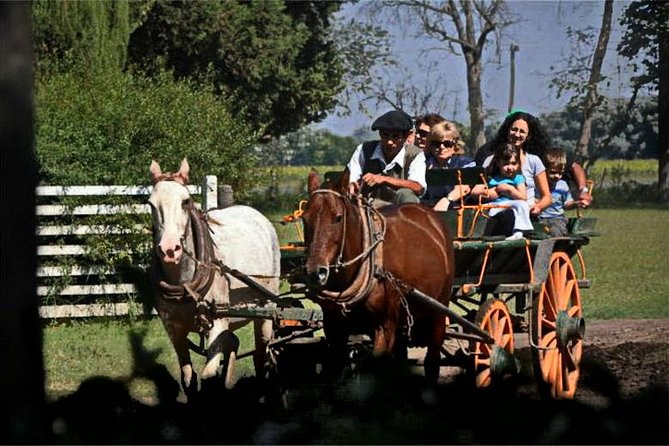 Gaucho Day Tour Don Silvano Estancia From Buenos Aires - Customer Feedback