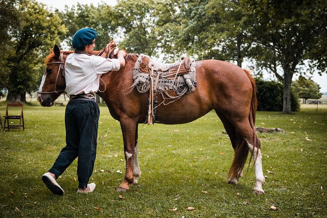 Gaucho Day Tour Ranch in San Antonio De Areco From Buenos Aires - Overview and Highlights of the Tour