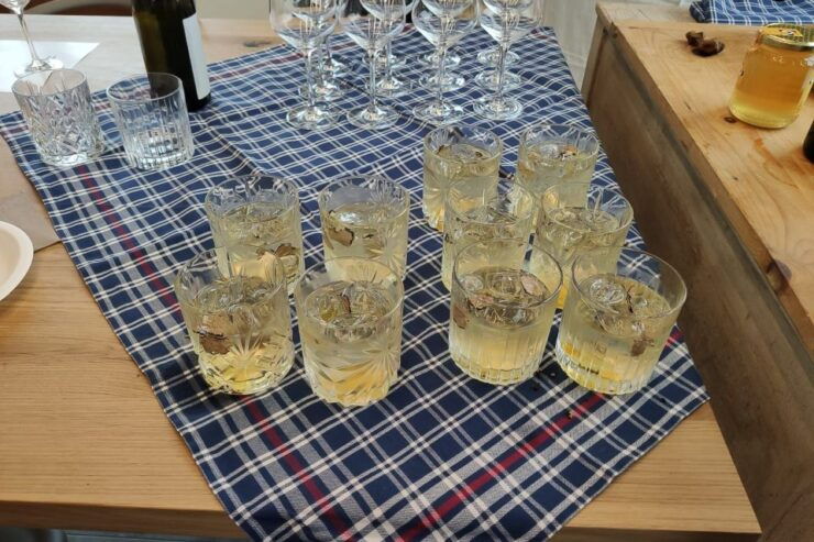 Gavi: Vineyard Tour With Truffle and Wine Tasting - Tour Highlights