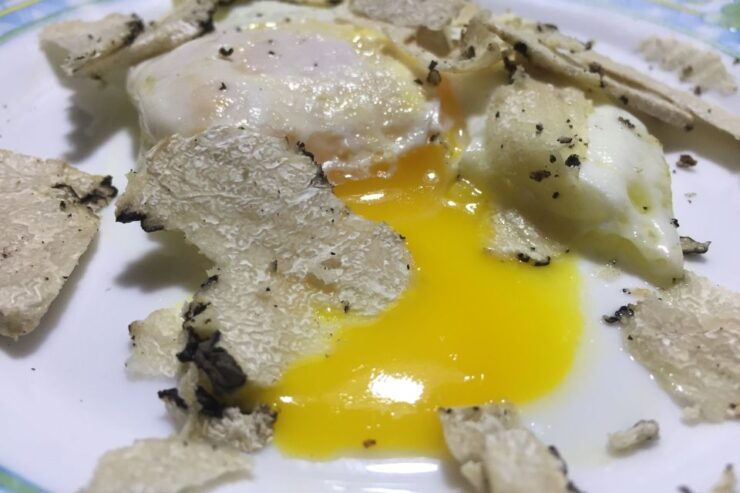 Gavi: Vineyard Tour With Truffle and Wine Tasting - Experience Highlights