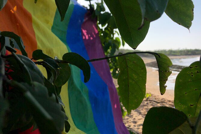 Gay Beach Adventure Queer Friendly Getaway in Puerto Rico Tour - An Authentic Queer Beach Experience with Nature and Culture