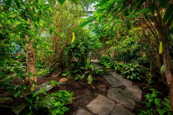 GdańSk: Live Romantic Music and Oriental Food in the Tropics - Customer Ratings
