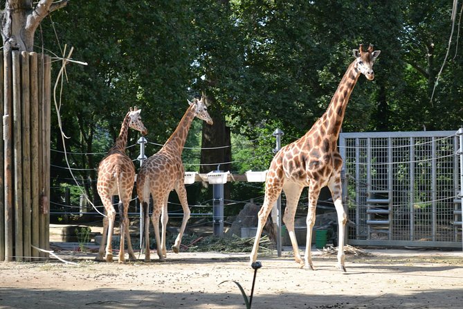 Gdansk: Oliwa Zoo With Private Transport and Tickets - Pickup and Drop-off Locations