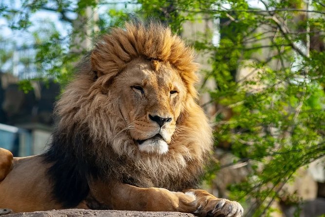 Gdansk: Oliwa Zoo With Private Transport and Tickets - Comfortable Vehicle and Professional Driver