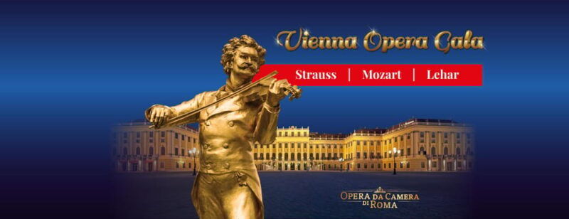 Gdansk: Vienna Opera Gala - Good To Know