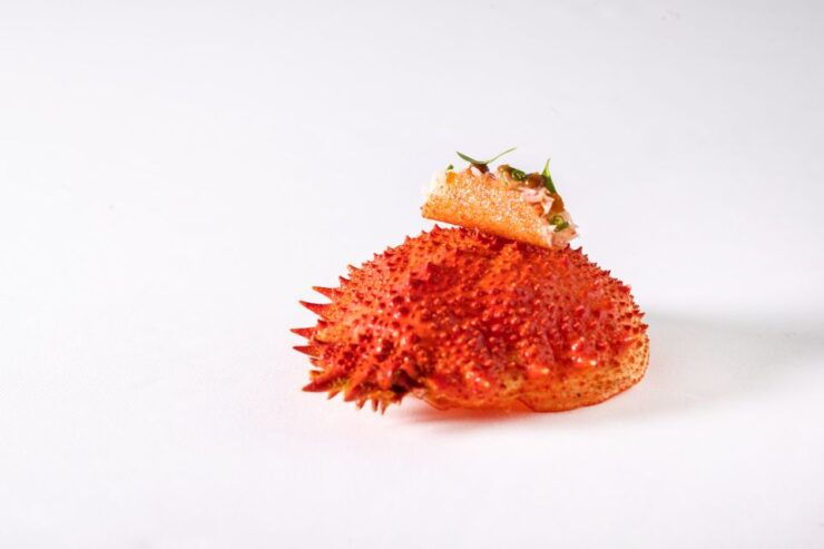 Gdańsk: World-Class Fine Dining Dinner on the Top Floor - Booking Details