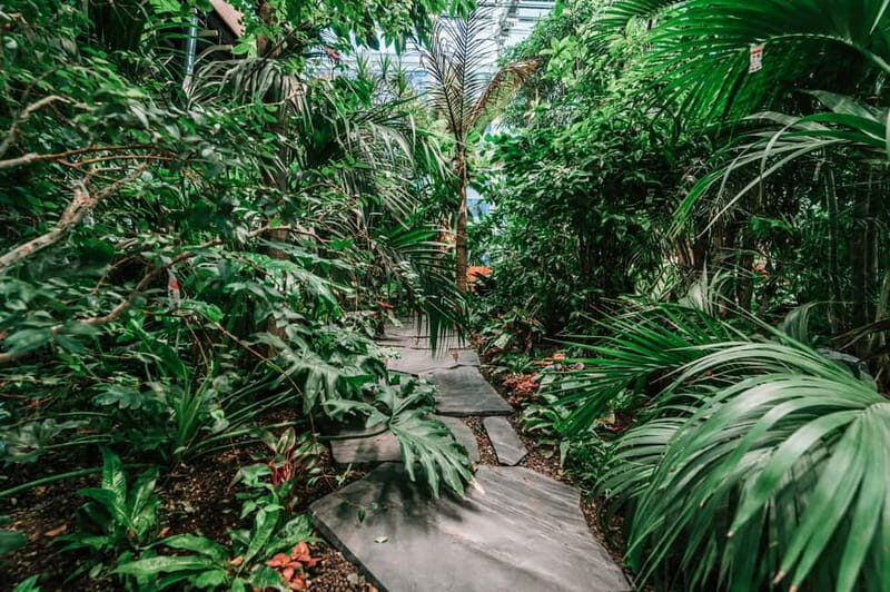 Gdask: Olivia Star Sky-High Views, Dinner, and Cocktails - Who Is This Experience Best For?