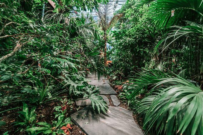 Gdask: Sky-High Views, Dinner&Cocktails - Olivia Star Top Floor - The Viewpoint: The Real Highlight