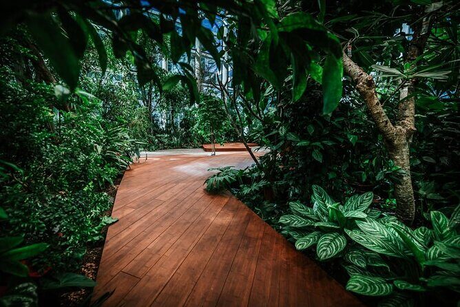 Gdask: Sky-High Views, Dinner&Cocktails - Olivia Star Top Floor - Is This Tour Worth It?