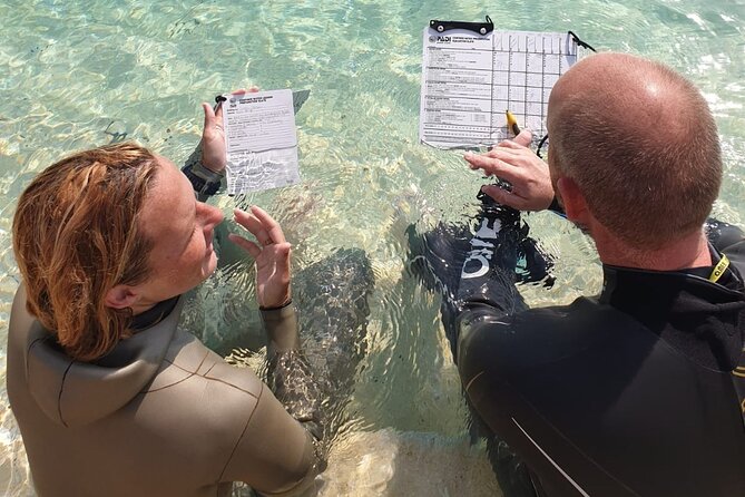 Gear Rental With Fundamental Course for Freediving - Benefits of Gear Rental