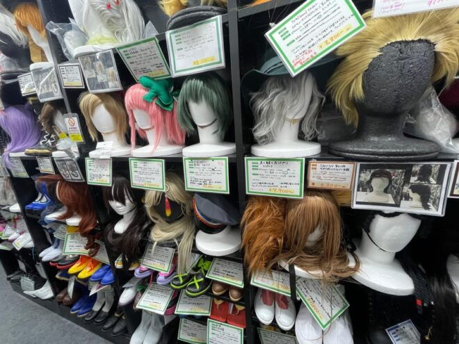 Geek Experience Tour in Ikebukuro - Guide Support