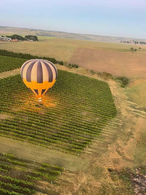 Geelong Hot Air Balloon Flight - Good To Know