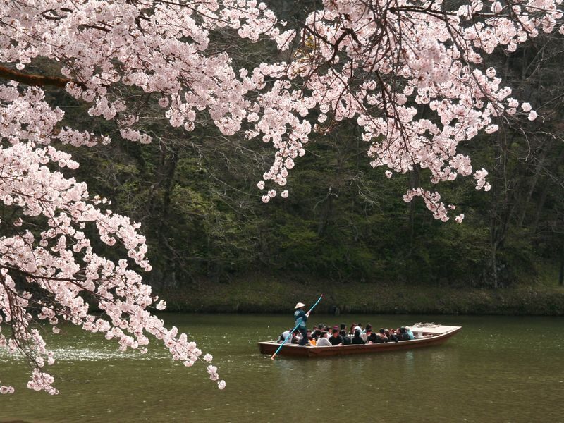 Geibikei Gorge River Boat Ride Experience in Iwate - A slow ride between limestone cliffs