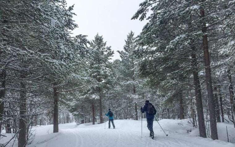 Geilo: Cross-Country Skiing Taster - The Scenic Setting