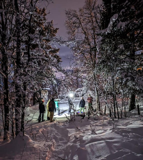 Geilo: Evening family tour with sledge, campfire and fun! - Who Should Book This Tour?