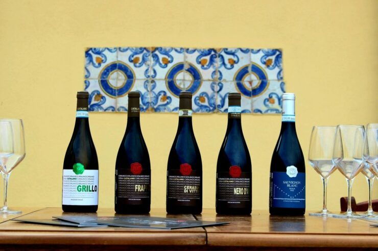 Gela: Vineyard and Cellar Tour With Wine Tasting - Tour Experience