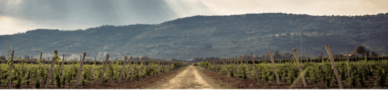Gelato and pizza from scratch in Capurso winery - Frequently Asked Questions
