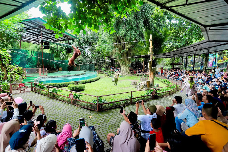 Gembira Loka Zoo Ticket in Yogyakarta - Make time for the education presentations