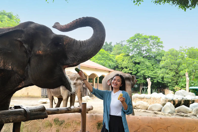 Gembira Loka Zoo Ticket in Yogyakarta - Should you book Gembira Loka Zoo?