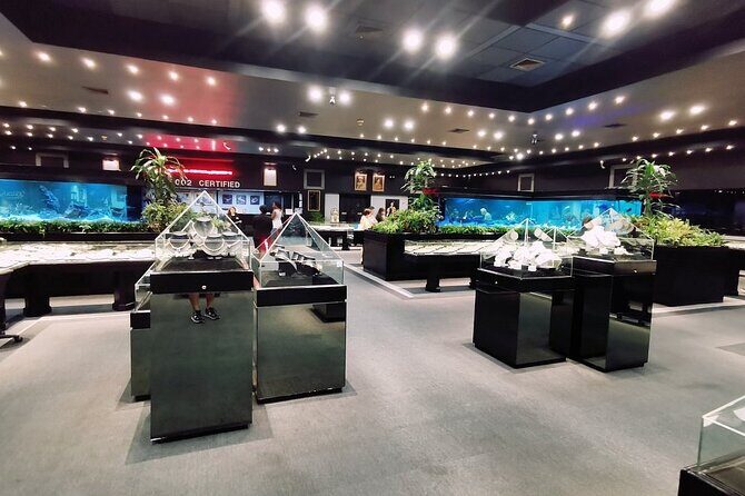 Gems Gallery Chiang Mai with Round Trip Hotel Transfers - How This Tour Adds Value