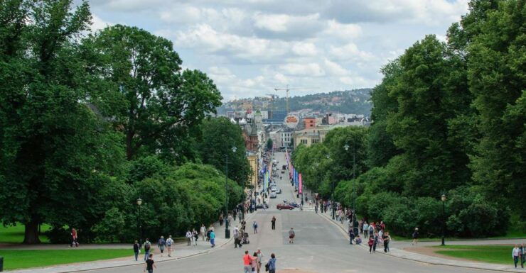 Gems of Central Oslo Private Walking Tour - Live Guide and Accessibility Information
