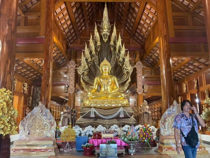 Gems of Chiangmai: Dantewada, Wat Ban den, Sticky Waterfall - Who Is This Tour Best For?