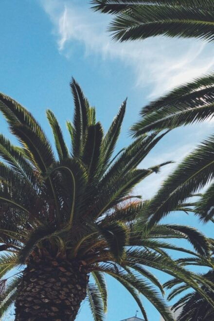 Gems of San Jose California – Walking Tour for Couples - Tour Duration and Details