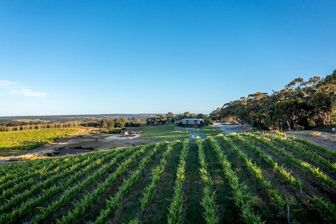 Gemtree Wines: Wine and Wander Experience - Biodynamic Grape Growing and Wine Making