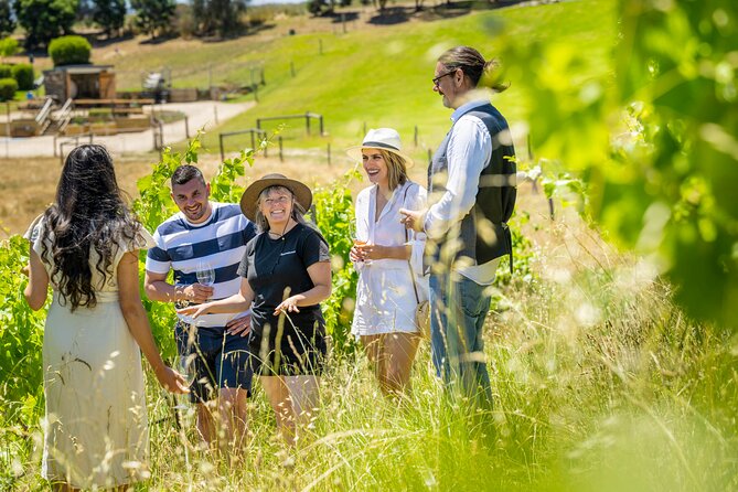 Gemtree Wines: Wine and Wander Experience - Inclusions and Meeting Details