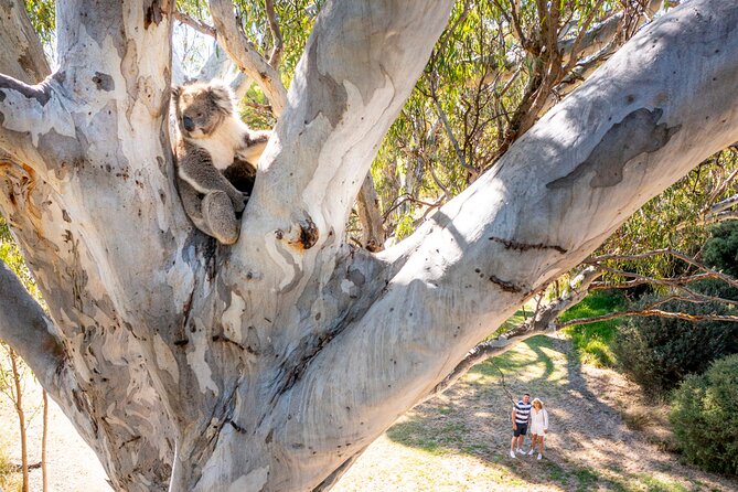 Gemtree Wines: Wine and Wander Experience - The Sum Up