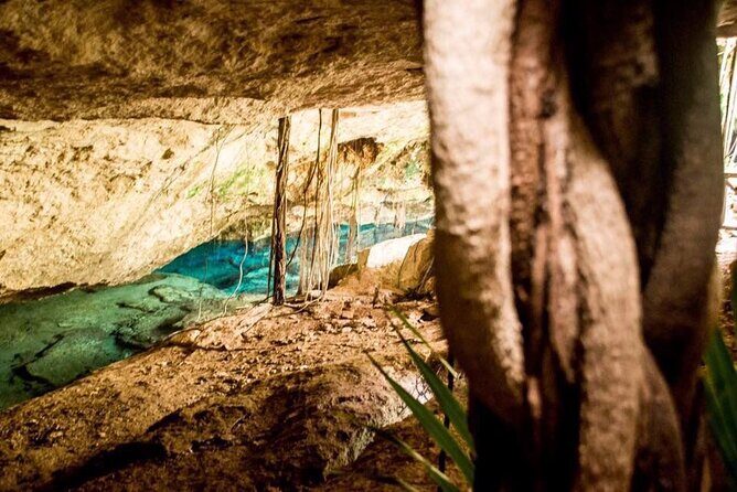 General Admission Ticket to Chikin Ha in Playa del Carmen - Good To Know