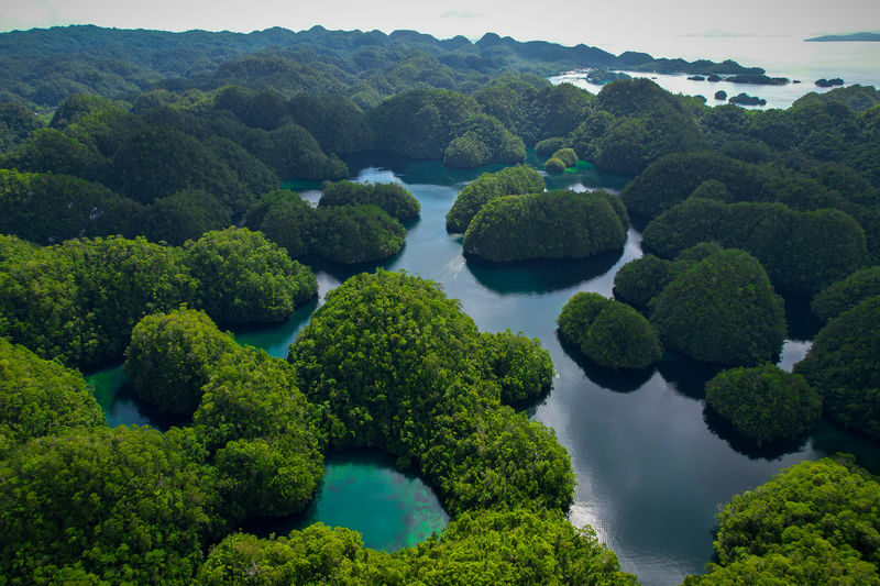 General Luna Sohoton Cove Full-Day Private Tour - Key points to know