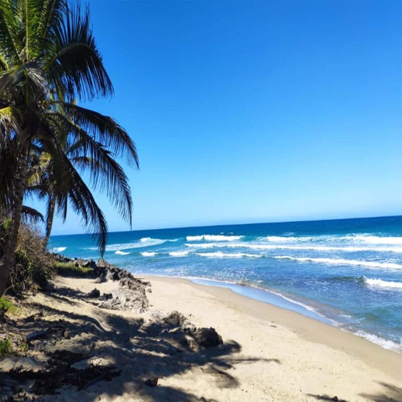 General Santos: 14-Day Mindanao Adventure Motorcycle Tour - Practical Insights