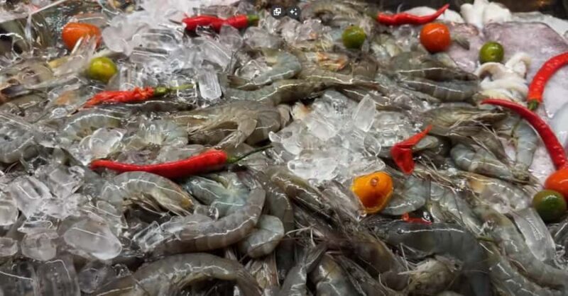 General Santos: 7-Day Guided Motorcycle Adventure - Final Thoughts: Who Is This Tour Best For?