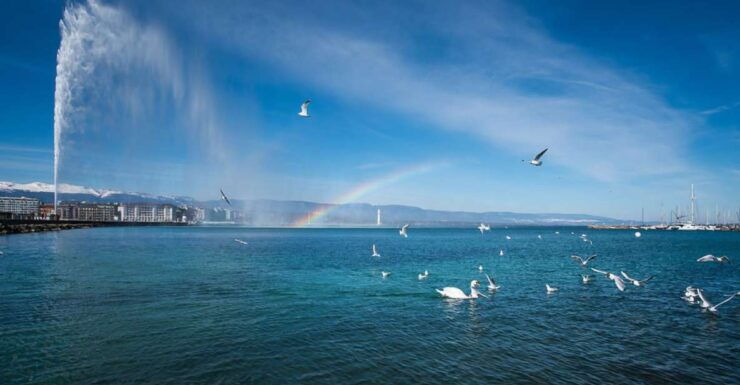 Geneva City Tour and Boat Cruise - Activity Details